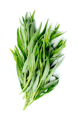 Tarragon herbs .