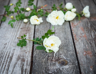 Fototapeta na wymiar Flowers. White roses on an old shabby desk. Vintage floral background.