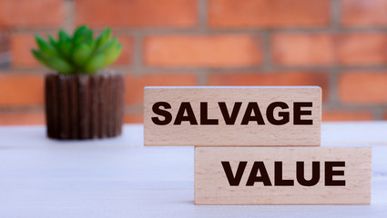 SALVAGE VALUE the words on cubes against the background of a brick wall with a cactus.