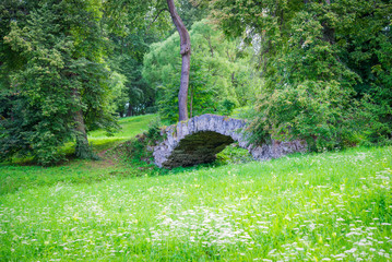 Summer. Old Stone Bridge and trees in Park