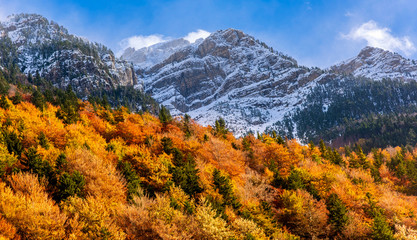 Automne sur le parc d'ordesa