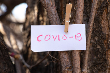 Kovid - 19 words in English written in red on a white sheet, weigh on branches in the spring in...