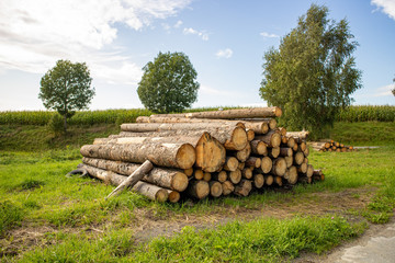 Hof, Bavaria, Germany, 09-15-2017l, ate summer landscape at Hof with trees and piles of wood
