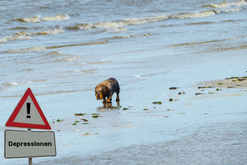 Schild Depressionen Dackel
