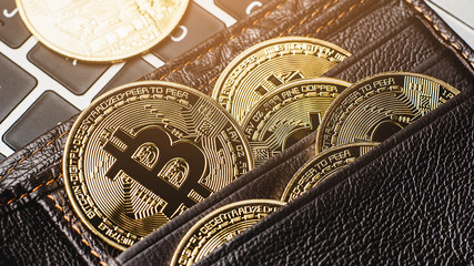 Group of bitcoin place on wallet. Online payment technology, digital wallet, computer financial,digital blockchain,  bitcoint stock, cryptocurrency trading and mining investment concept.
