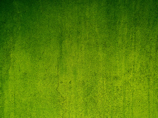 Lime wall abstract background gradient.