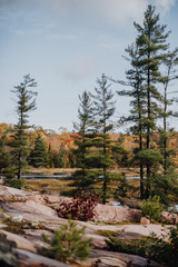 Le parc national de Killarney en Ontario durant l'automne