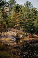 L'automne dans le parc national de Killarney en Ontario