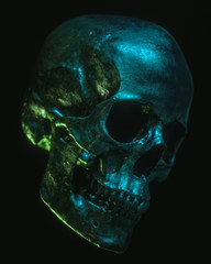 Neon Black Skull Isolated on Black Background