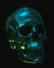 Neon Black Skull Isolated on Black Background