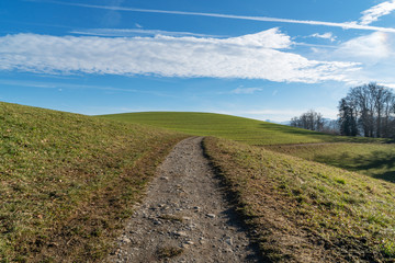Wanderweg entlang eines Feldes im Winter