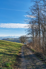 Wanderweg entlang eines Feldes im Winter