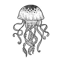 jellyfish sketch engraving vector illustration. T-shirt apparel print design. Scratch board imitation. Black and white hand drawn image.