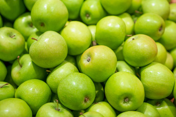 Green fresh apples as a background