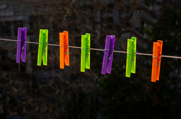 beautiful colored laundry clips_4