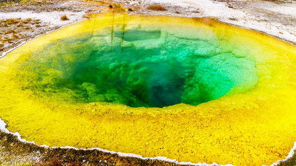 Yellow sulfur mineral deposits around the green and turquoise waters of the Morning Glory Pool in the Upper Geyser Basin along the Continental Divide Trail in Yellowstone National Park, Wyoming, USA