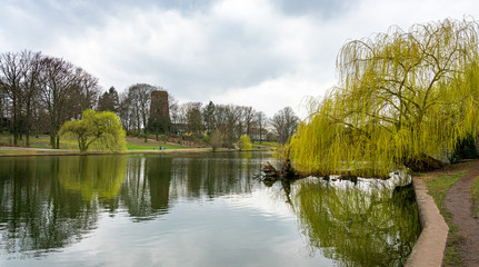 Trees and landscape at Obersee in Berlin's niederschönhausen district, Germany