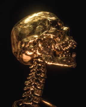 Gold Skull Isolated On Black Background
