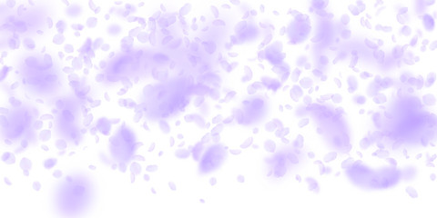 Violet flower petals falling down. Grand romantic 