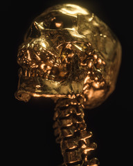Gold Skull Isolated On Black Background
