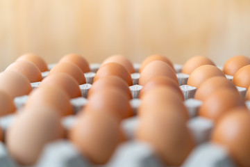 eggs in recycle paper tray, food hoarding concept