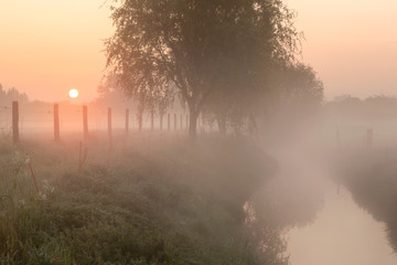 Sfeervolle mistige zonsopkomst in de weilanden te Menen, Belgie