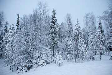 Obraz na płótnie Canvas Paisajes nevados en Finlandia