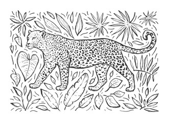 Sketch of a leopard with tropical plants. Wild animal.