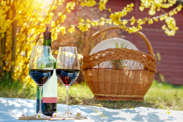 activities at home during isolation have a picnic with wine in your own garden
