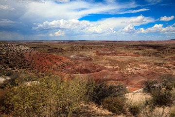 Arizona / USA - August 01, 2015: Painted Desert National Park landscape, Arizona, USA