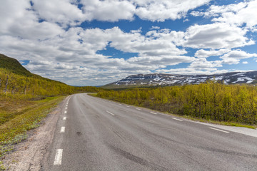 Naklejka premium straight and lonely road between swedish mountains under cloudy sky, selective focus