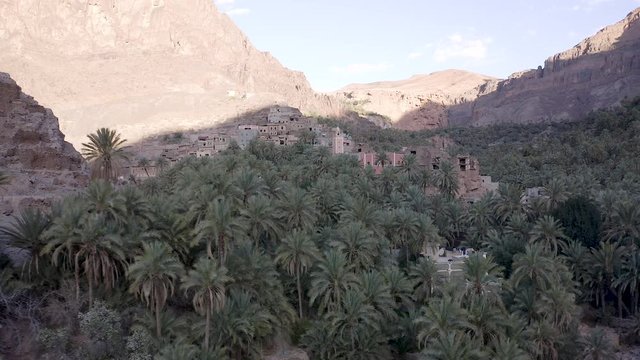 A sunrise or sunset aerial push towards a village nestled in a lush valley of palms encircled by a steep headwall of jagged, desert, mountain peaksas tropical birds swoop in front of the camera.