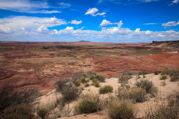 Arizona / USA - August 01, 2015: Painted Desert National Park landscape, Arizona, USA