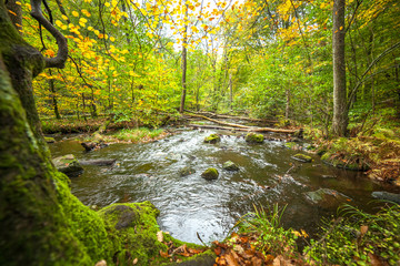 Obraz premium landscape with forest and a river in front. beautiful scenery, selective focus, long exposure
