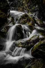 Fototapeta premium waterfall in forest