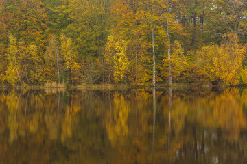 Seashore and reflections from the autumn colored forest in the water, picture from Northern Sweden.