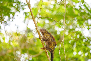 Foto de Natureza da natureza e pássaros