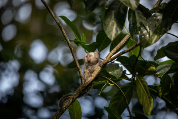 Foto de Natureza da natureza e pássaros