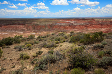 Arizona / USA - August 01, 2015: Painted Desert National Park landscape, Arizona, USA