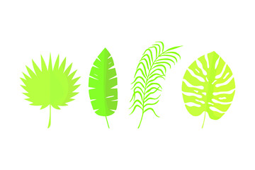 tropical leaves set. eps10 vector illustration. hand drawing. 