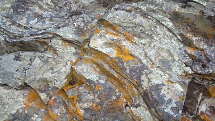 rock