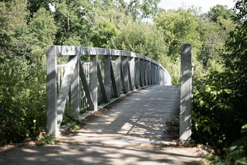 Boardwalk bridge in nature