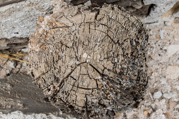 Wood Texture