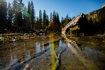 lac