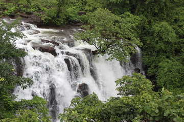 Fototapeta na wymiar tree middle of the milky waterfall