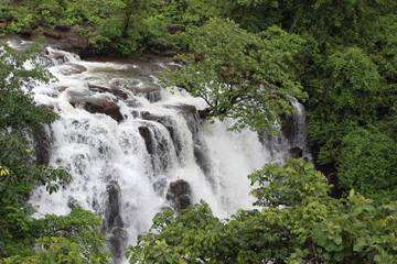 tree middle of the milky waterfall