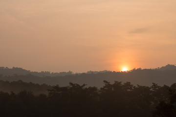 sunrise among trees with a dense fog at Jedkod-Pongkonsao Natural Study in Saraburi Thailand