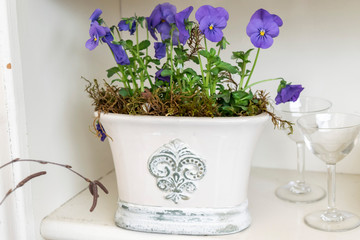 Blooming blue pansies in an aged ceramic flowerpot and glass goblets in a white kitchen interior. Spring garden floral romantic vintage antique arrangement shabby - chic style.