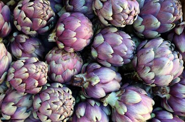 Purple artichoke heads. Food background and texture