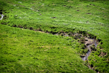 Ein Bach der sich durch die Wiese schlängelt